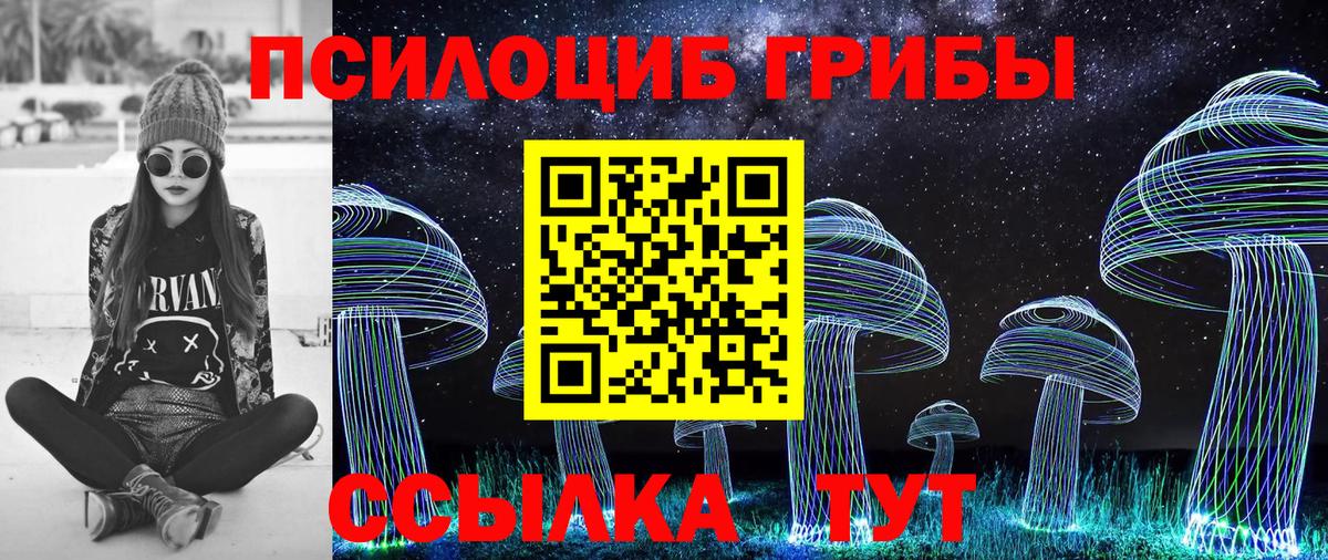 Дальнереченск  Галлюциногенные грибы прущие грибы  Вход с VPN 